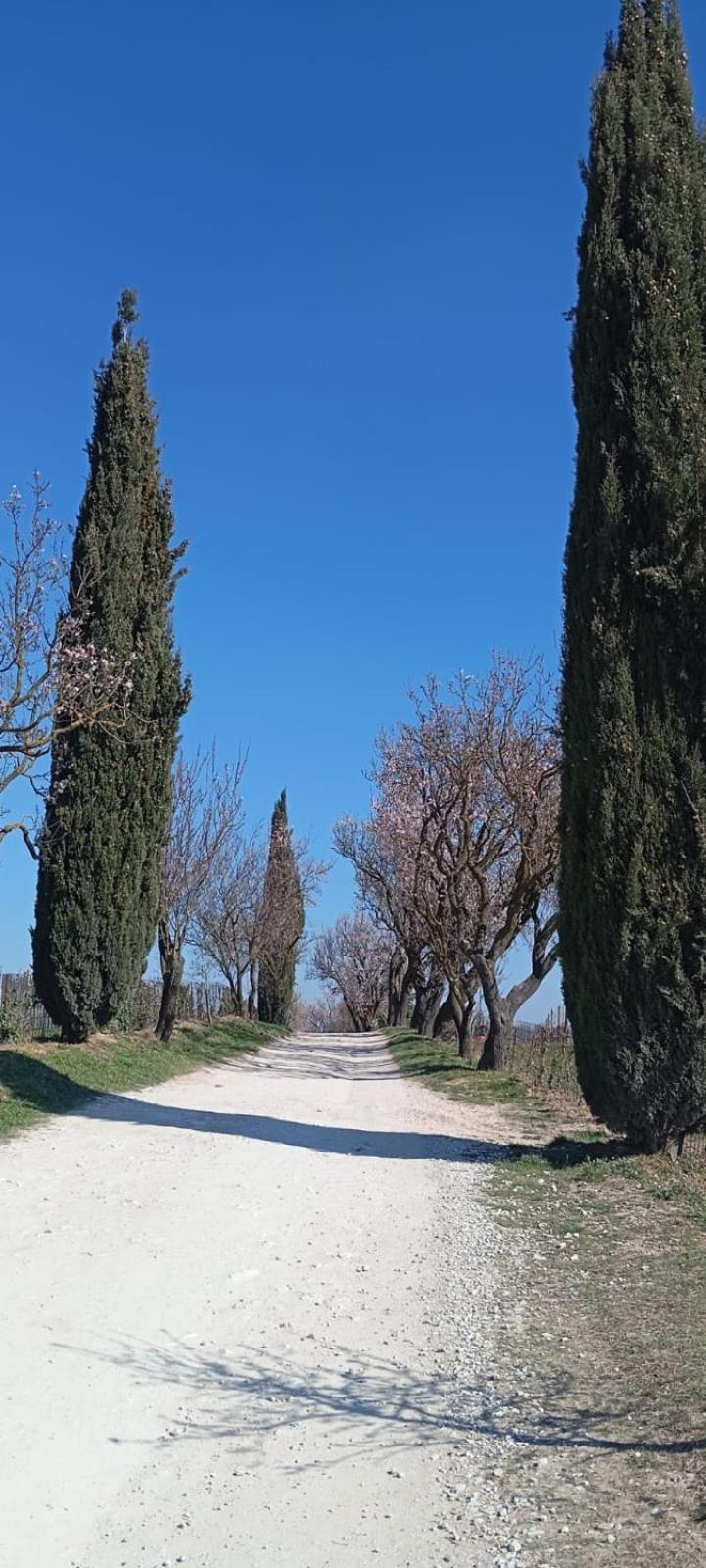 Alloggio La Perla, Quiete Ed Eleganza Con Vista Barbarano Vicentino Esterno foto